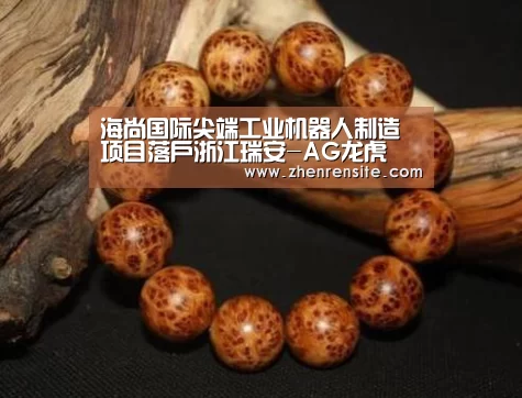 海尚国际尖端工业机器人制造项目落户浙江瑞安-AG龙虎(图1) AG轮盘