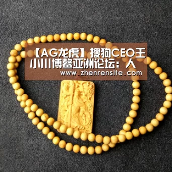 AG龙虎